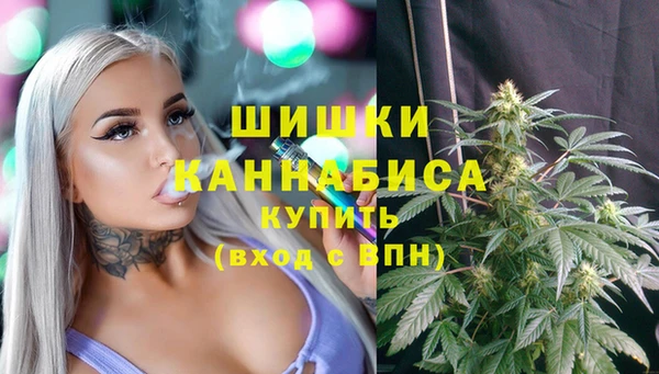 бошки Арсеньев