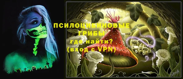 бошки Арсеньев