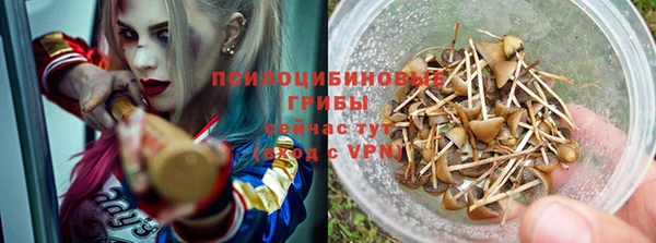 бошки Арсеньев