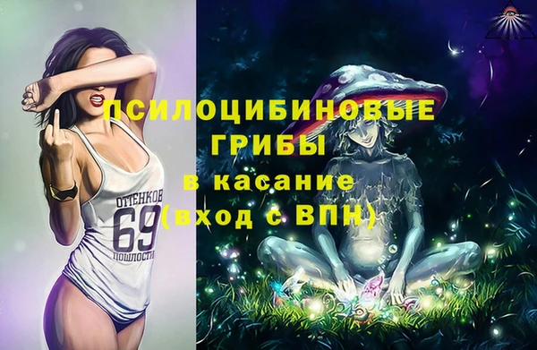 бошки Арсеньев